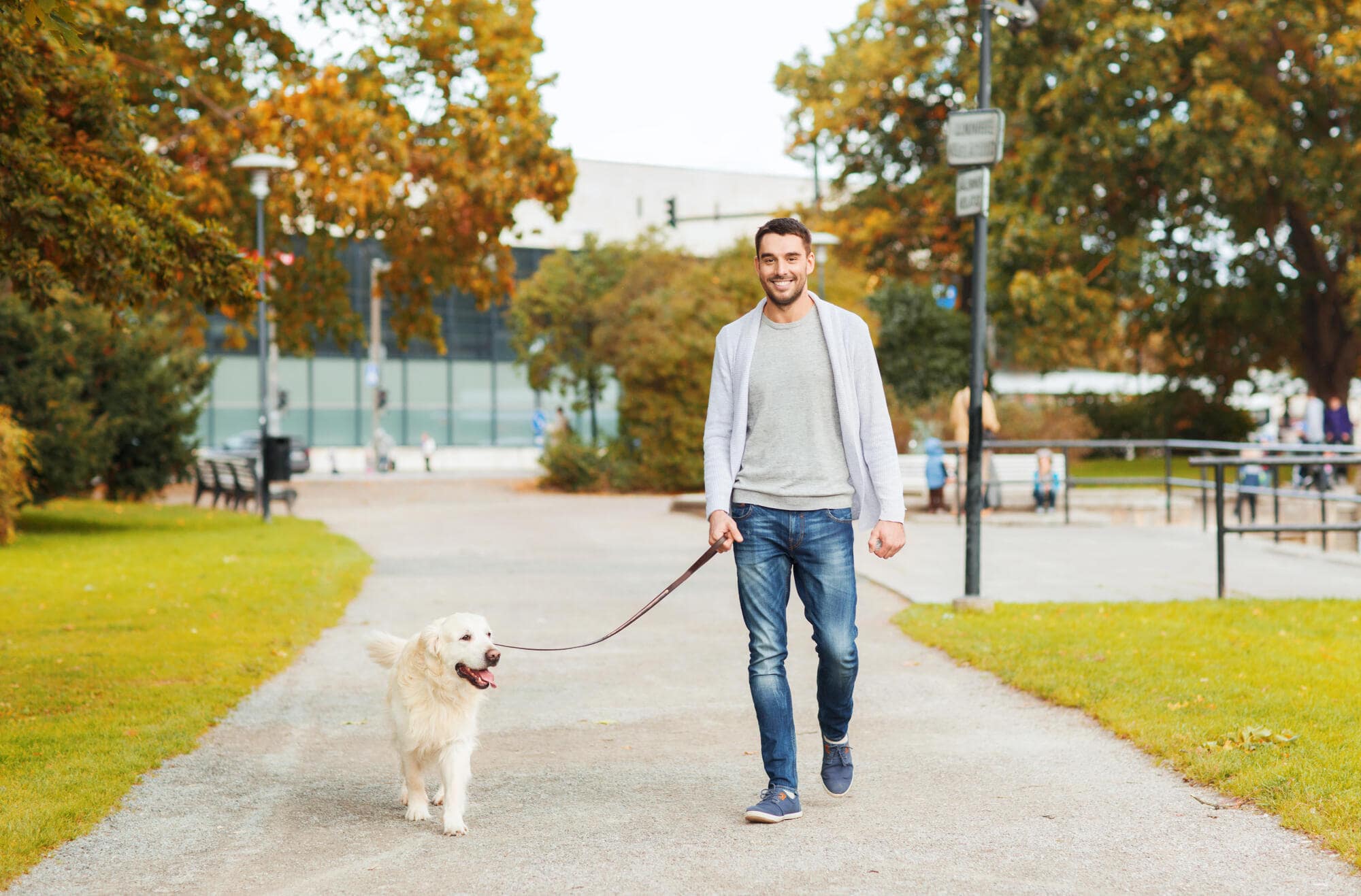 Difference Between Service, Emotional Support Animals and Pets in TX